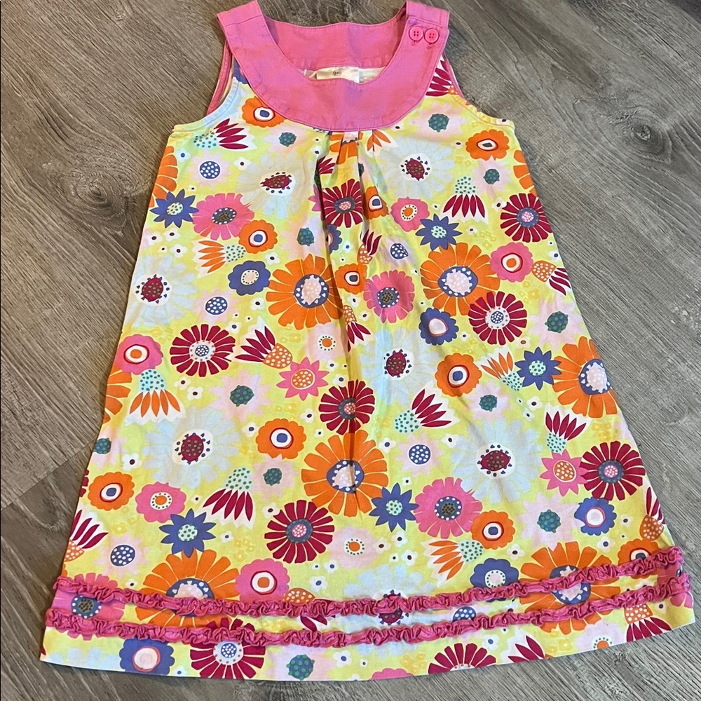 Hanna Andersson Pink and Floral Dress